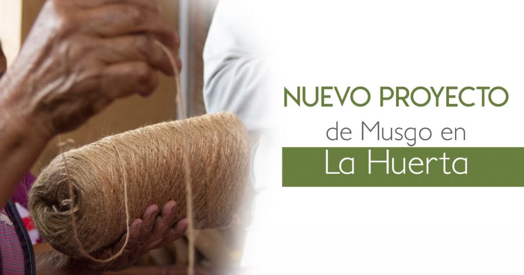 Nuevo proyecto de Musgo en La Huerta