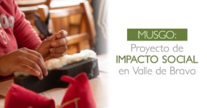 Proyecto de impacto social en Valle de Bravo